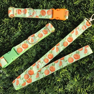 Orange Fruit Pattern Dog Collar and Lead Set