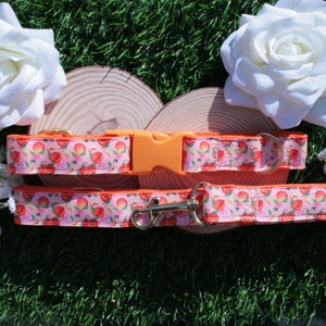 May include: A pink and orange dog collar and lead set with a peach print. The collar has a plastic buckle and the lead has a metal clip.