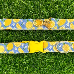 May include: A yellow and blue dog collar with a lemon print and a gold clasp. A matching lead with a gold clip is also shown.