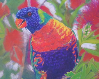 greeting card parrot card Australian wildlife birthday card parrot card lorikeet  card original art unique birthday card Australian bird