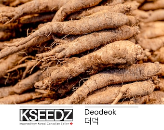 더덕 deodeok (0.5G - 100+) – 한국 씨앗 KSEEDZ Semilla coreana 韩国 种子 韓国 種子 Semilla asiática