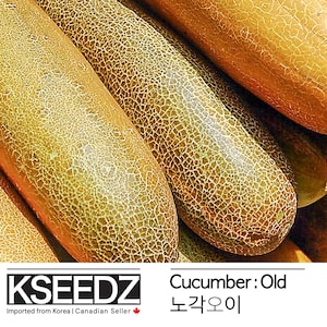 May include: Close-up of several yellow cucumbers with a rough, textured skin. The cucumbers are stacked on top of each other. The text "Cucumber: Old 노각오이" is visible at the bottom of the image.