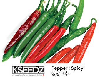 청양 고추-신홍 Cheongyang pepper - Shinhong: HOT SPICY (15) – 한국 씨앗 KSEEDZ Korean seed 韩国 种子 韓国 種子 Asian seed