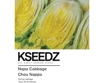 봄배추 Col Kimchi Spring (100+) – 한국 씨앗 KSEEDZ Semilla coreana Semilla asiática