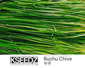부추 Buchu chive (1G, 100+) – 한국 씨앗 KSEEDZ Korean seed 韩国 种子 韓国 種子 Asian seed