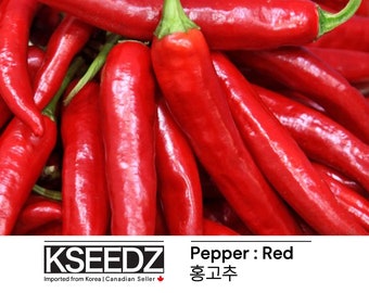 홍고추 Gochu Pepper Red : Mild 고추가루용 gochugaru, dried chili powder(20) – 한국 씨앗 KSEEDZ Korean seed 韩国 种子 韓国 種子 Asian seed
