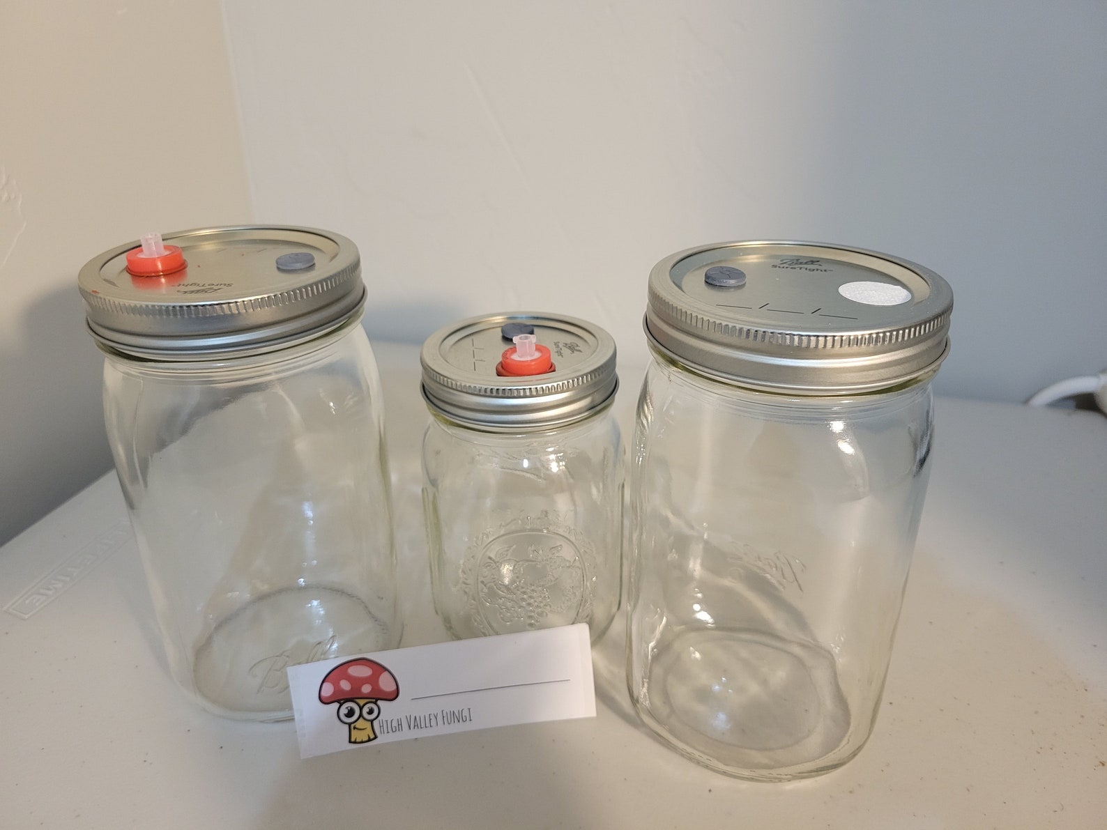 Grain Spawn/liquid Culture Jar for Growing Mushrooms 16 Oz. Etsy