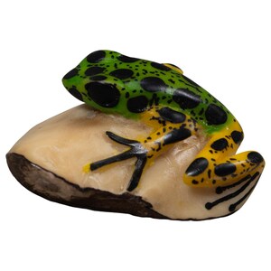 Pode incluir: Uma pequena estatueta de sapo com as costas verde-brilhantes com manchas pretas, passando para pernas amarelas com marcas pretas, repousando sobre uma base lisa, arredondada e bege claro com uma parte inferior castanho-escura texturizada.