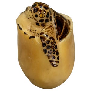 Cherished Panama Tagua Carving, Olive Ridley Sea Turtle Molded Vitrine Conversation Starter, Nature Lover Gift, Wildlife Art Piece
