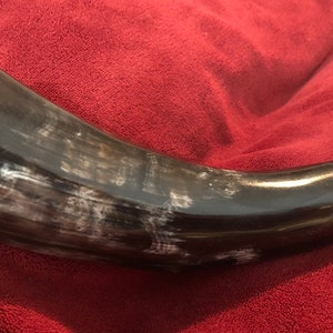 Viking Ceremonial Drinking Horn