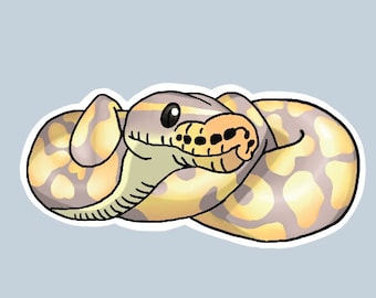 Ball Python Aufkleber