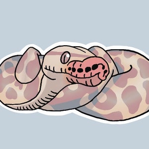 May include: A cartoon illustration of a curled up snake with a light brown and pink patterned body. The snake has a pink tongue sticking out of its mouth.