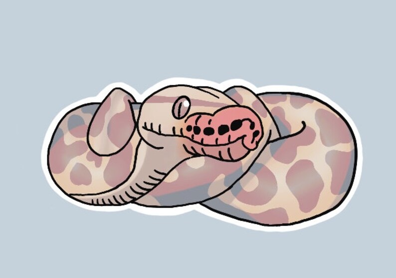 May include: A cartoon illustration of a curled up snake with a light brown and pink patterned body. The snake has a pink tongue sticking out of its mouth.