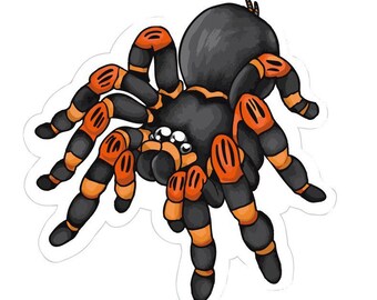 Brachypelma sticker