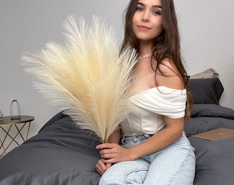 Faux Pampas Grass - Beige (5 Stems)