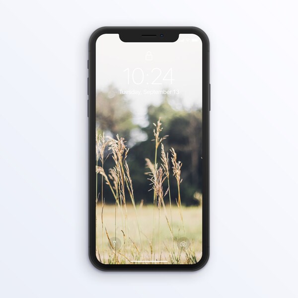 Prairie Grass Phone Wallpaper Background | Nature Photography | Digital Download | Instant Download Phone Lockscreen Neutral Aesthetic Boho