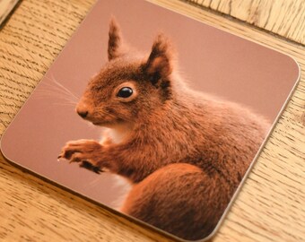 Drinks Coaster - Red Squirrel Photography - UK
