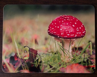 Toadstool - Placemat. Fly Agaric