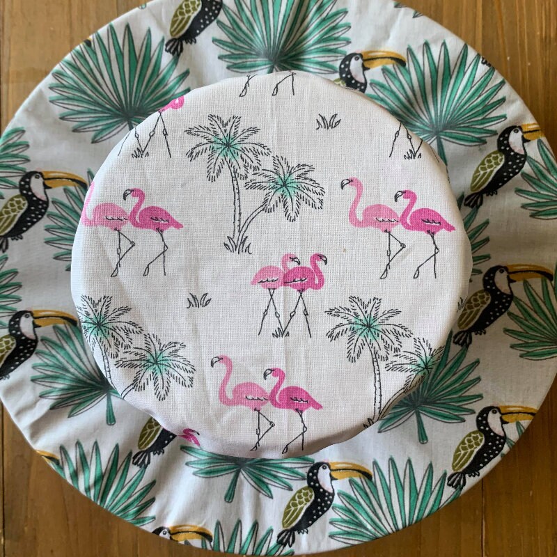 Charlotte Alimentaire Lavable