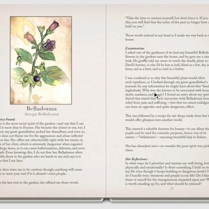 May include: Open book with a botanical illustration of Belladonna, featuring purple and pink flowers, green leaves, and black berries. Text includes the plant's name and a description of its properties.