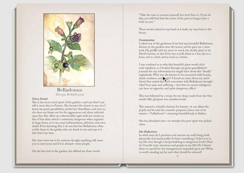 May include: Open book with a botanical illustration of Belladonna, featuring purple and pink flowers, green leaves, and black berries. Text includes the plant's name and a description of its properties.
