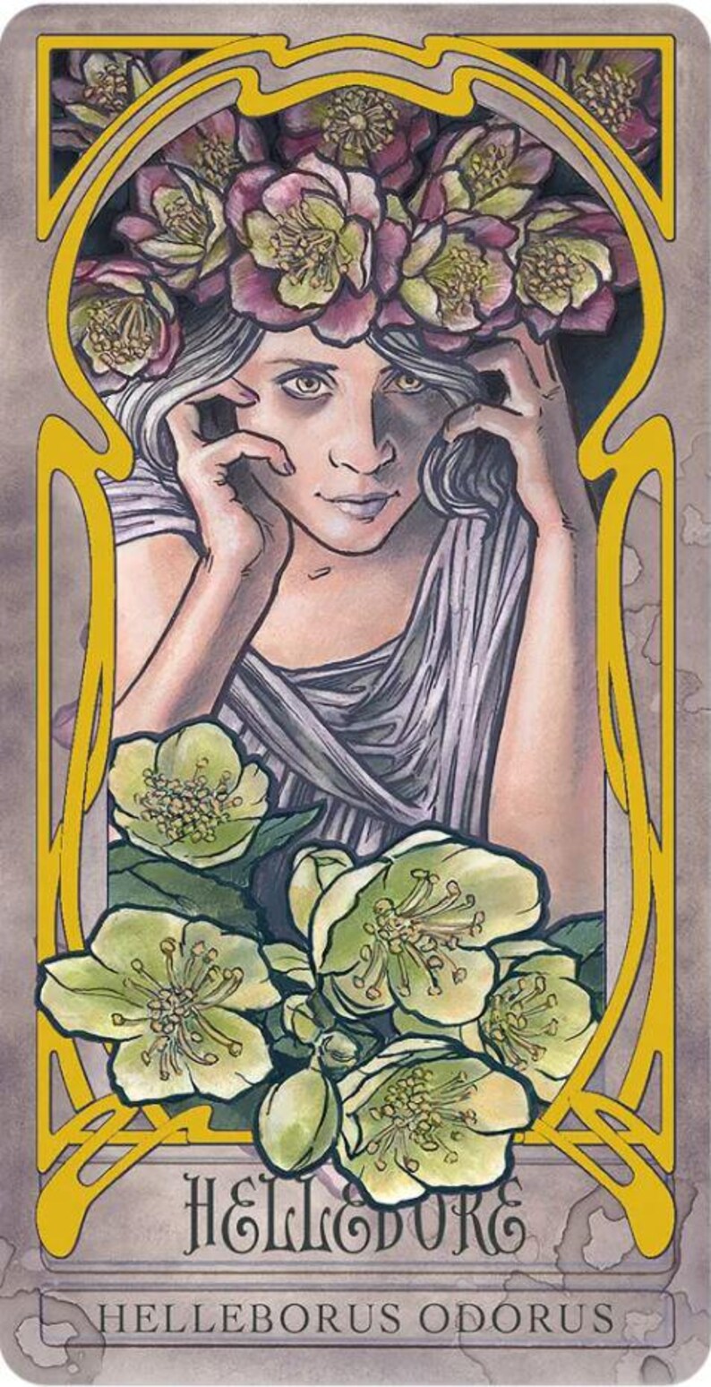 May include: Illustration of a woman with a floral crown and a draped garment, framed by Art Nouveau-style lines. The image features green and purple flowers, with the text "HELLEBORE" and "HELLEBORUS ODORUS" at the bottom.