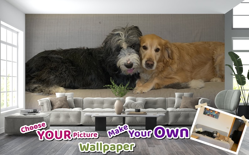 Pu&ograve; includere: Due cani, un bearded collie bianco e nero e un golden retriever, sono sdraiati su un divano. I cani guardano la telecamera. L'immagine &egrave; una bozza di una carta da parati personalizzata con il testo "Scegli la tua immagine Crea la tua carta da parati".