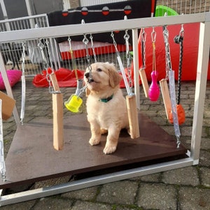 Play Cube Aluminium Play Box Play Rack Jouet Chiot Jouet pour Chiots Chiens Chats image 3