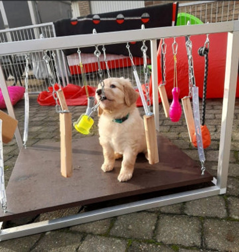 Play Cube Aluminium Play Box Play Rack Jouet Chiot Jouet pour Chiots Chiens Chats image 3