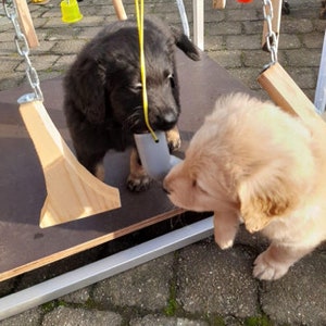 Play Cube Aluminium Play Box Play Rack Jouet Chiot Jouet pour Chiots Chiens Chats image 4