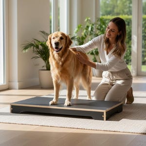 May include: A golden retriever stands on a black and wood-trimmed pet platform. The platform is rectangular and appears to be made of wood. The dog is being petted by a person. The platform is on a rug.