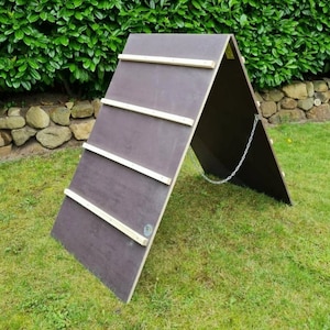 A-wall / parete da arrampicata / agility / parkour / ostacoli / addestramento per cani, sport cinofili, scuola per cani