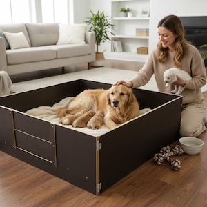 Może przedstawiać: Golden retriever i jej szczenięta znajdują się w ciemnobrązowym kojcu. Kobieta głaszcze psa i trzyma szczeniaka. Kojec stoi na drewnianej podłodze w salonie.