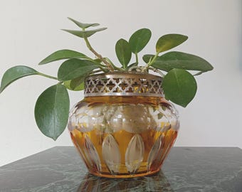 May include: An amber-colored glass bowl with a wide, rounded body featuring vertical cut-glass facets and a decorative silver-toned metal rim with a repeating quatrefoil cutout pattern, containing a green plant with oval-shaped leaves.