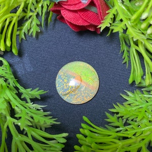 May include: A round, iridescent opal cabochon with a green and gold color scheme. The opal is set against a black background and surrounded by green foliage.