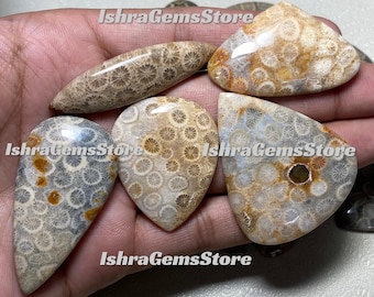 Natural Fossil Coral Cabochon Lot – Freeform Gemstone Jewelry Making