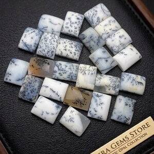 May include: A collection of rectangular dendritic opal gemstones featuring white backgrounds with black fern-like inclusions. A gold-toned metal plaque is present with the text ISHRA GEMS STORE DENDRITIC OPAL COLLECTION printed in black.