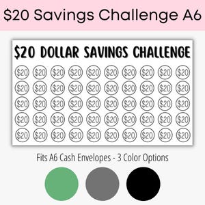 20 Dollar Mini Savings Tracker, A6 Savings, Cash Envelopes, Mini Savings Challenge, Printable, Budgeting, Money Tracker, Digital Download