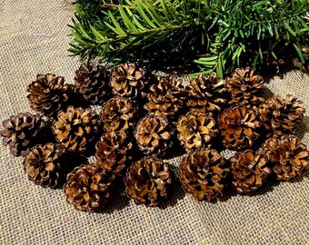 Dennenappels 30 stuks, gedroogde dennenappelset voor kerstkransen, woondecoraties.  Feestdecoratie, Noorse dennenappels
