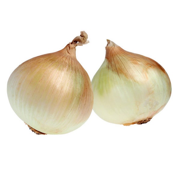 Walla Walla Onion Sets Etsy