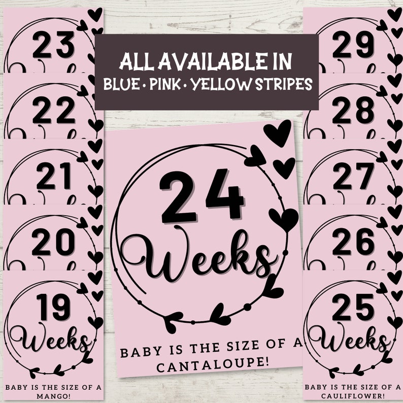 Printable Pregnancy Milestone Sign Bundle- Week by Week Pregnancy Signs ...