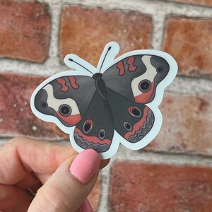 Peut inclure: Un autocollant de papillon noir et rouge avec des marques blanches. Le papillon est en position de vol, les ailes déployées.