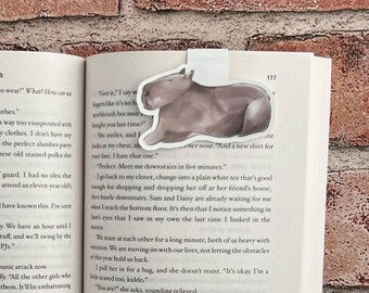 Marcapáginas Magnéticos De Capibara (8 Unidades) - Regalo Divertido Para Niños Para Fomentar La Lectura