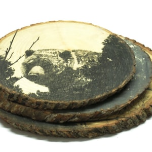 Giant Wood stump decor ink transfer of wild animal
