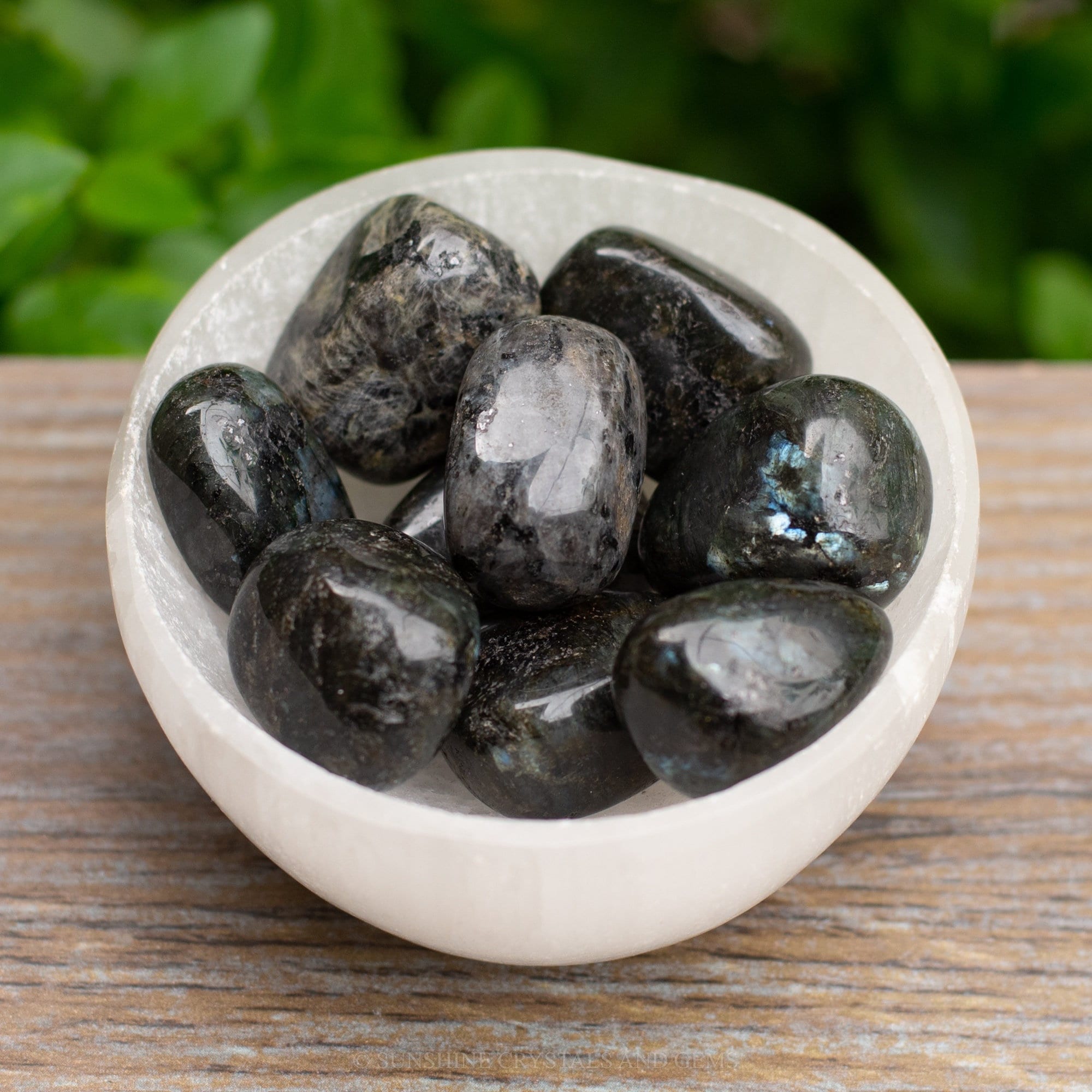 1 x Larvakite Tumbled Stone Small Black Moonstone Natural Crystal Gemstones 