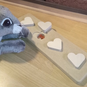 Sniffing board &quot;rabbit experience&quot; small intelligence - toy for rabbits, guinea pigs, cats and small animals