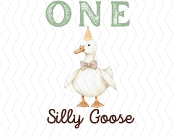 One Silly Goose Birthday PNG for Boy, Cute Silly Goose Clipart, Instant Download Sublimation Design, Birthday Boy Silly Goose Theme Digital