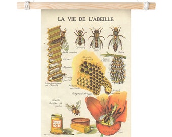 The Life of the Bee (La Vie de L'abeille) Matte Poster Educational Scientific Honeybee Beekeeper Pollinator French Print 11x17 18x24 24x36