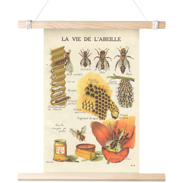 La Vie French Bee