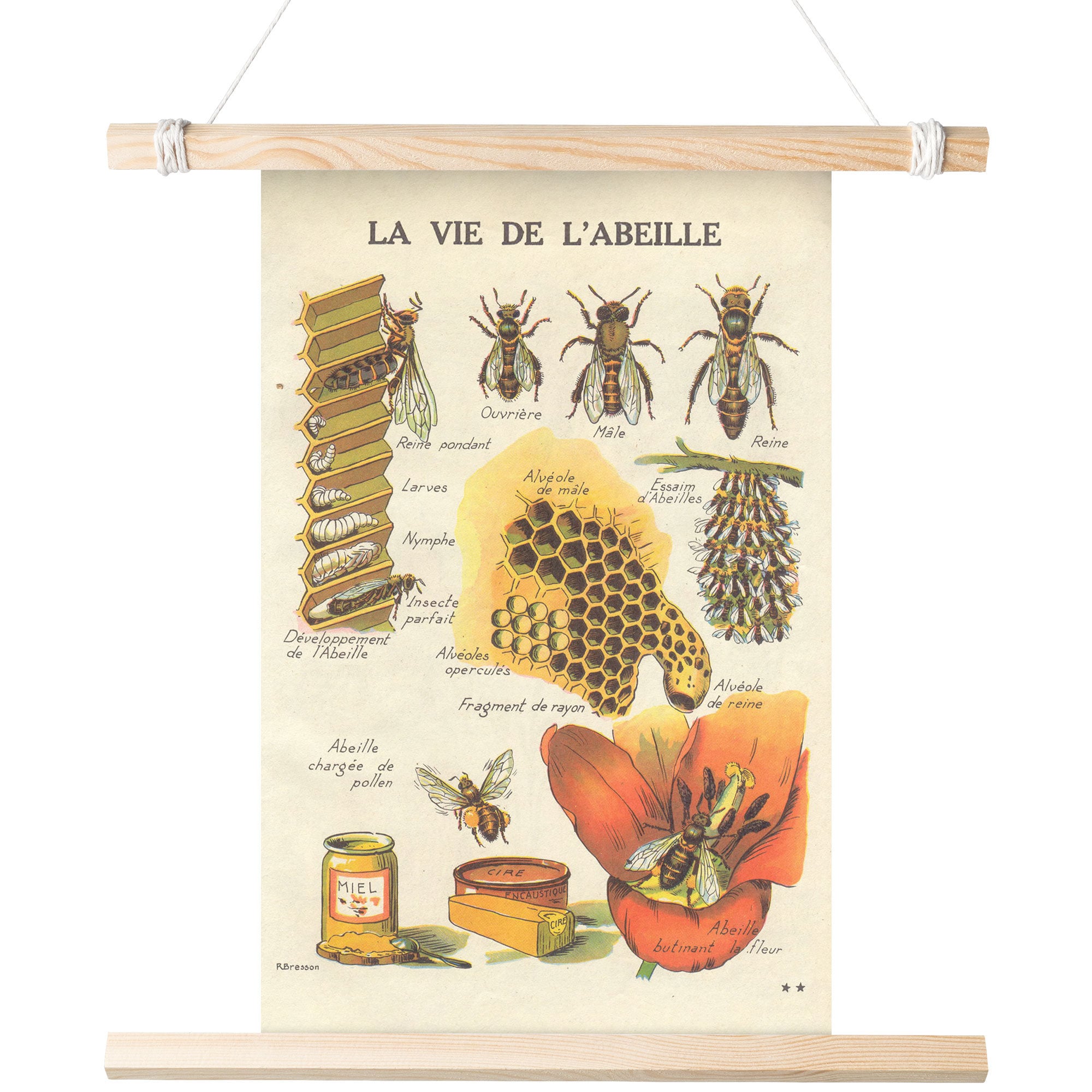 Affiche Éducative  Amis Abeilles Tableau de Récompense Poster